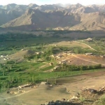 پول غرامت گوسفندان کوچی‌ها در ولسوالی مالستان با اجبار از مردم محل جمع‌آوری گردید ـ مجله‌ی اورال
